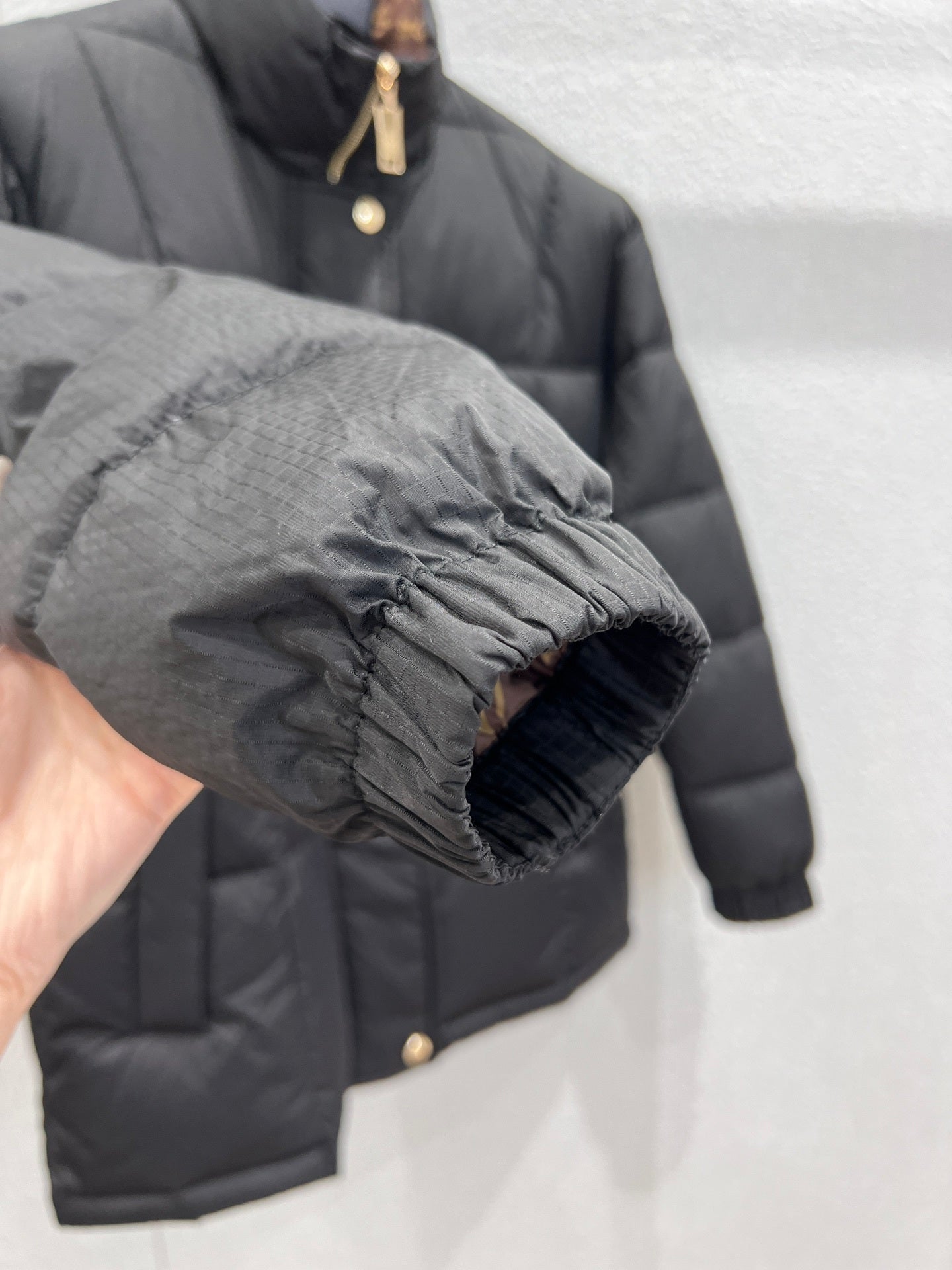 Louis Vuitton 25FW Pillow Stand-Collar Down Jacket